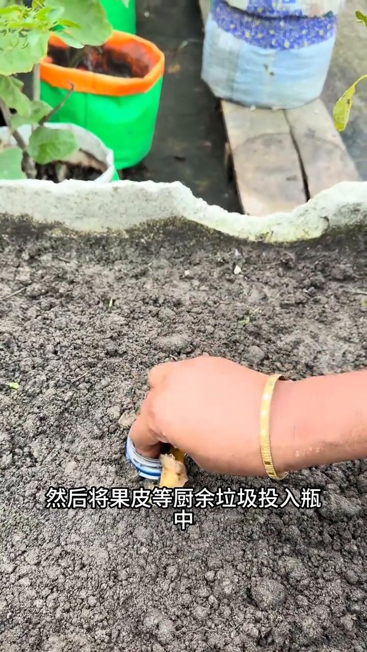埋瓶堆肥法。
注意看，这是一种非常巧妙的埋瓶堆肥法，也叫堆肥塔。它将一个钻了孔的