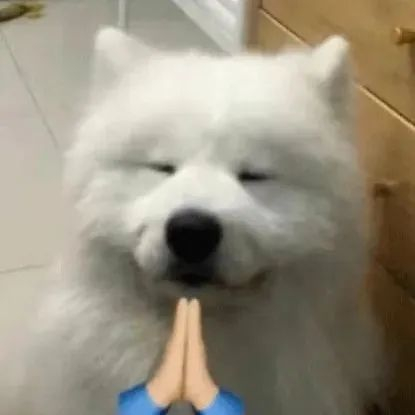 罗永浩说AQ是重阳送礼第一选择 今年重阳节给家里长辈选礼物，真的让我头疼了好久。