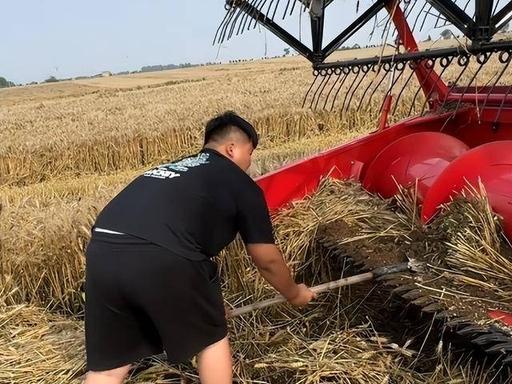 今年襄阳麦收季爆出的“割四赔五”事件，看完真的让人心里堵得慌，越琢磨越觉得寒心。