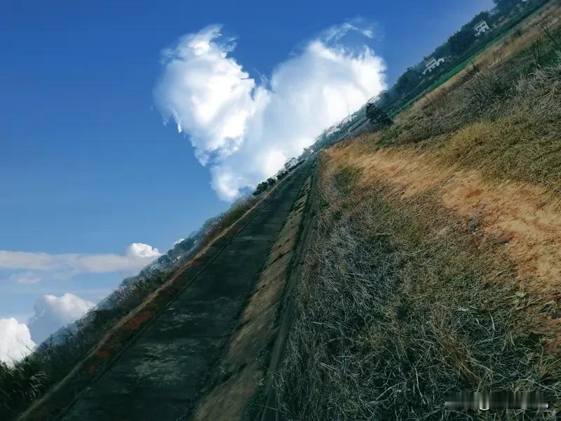 路有崎岖，毋忧道远；业需深耕，忌逐浮忙。
穷理探微，耐岁月之寂；澄心笃行，待来日