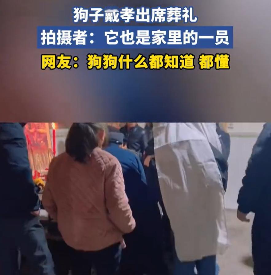 湖南，一位老人去世，家人办丧事，晚辈们按传统披麻戴孝。但这次葬礼上多了一位特殊的