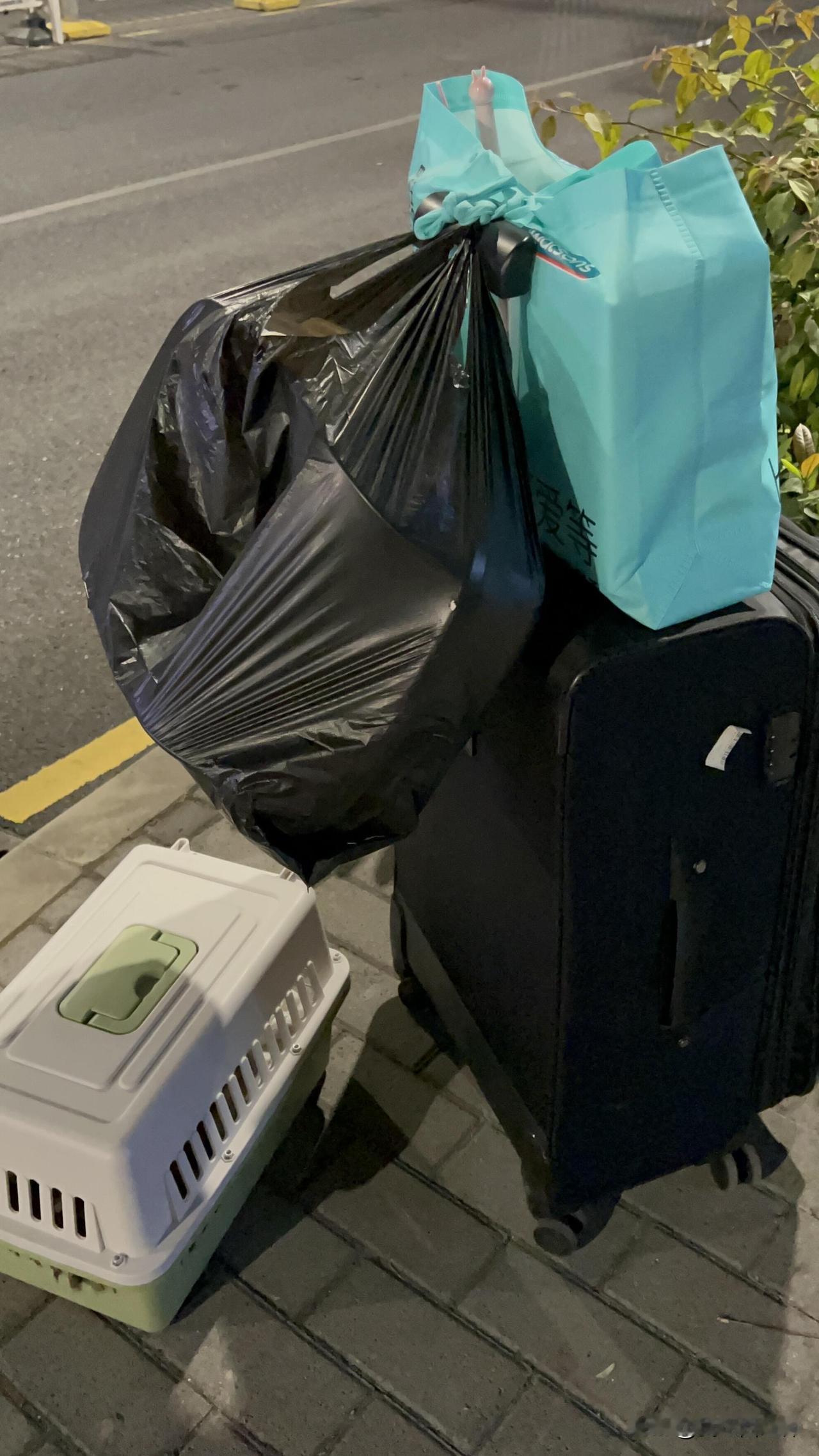 起因是除夕晚上我妈让我帮忙套被套，我模仿她平时pua的语气开玩笑说了一句“一般我