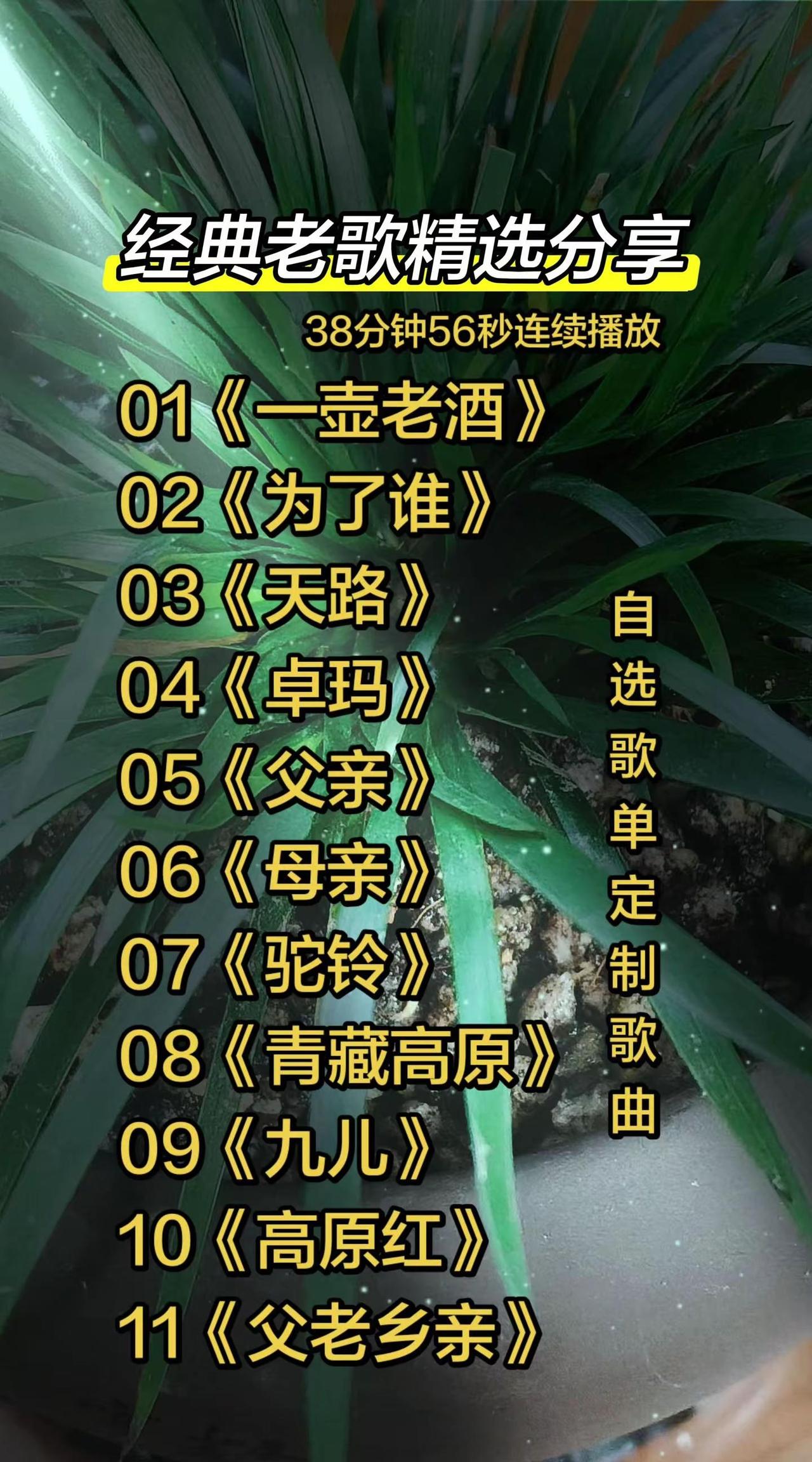 01《一壶老酒》02《为了谁》03《天路》04《卓玛》05《父亲》06《母亲》0