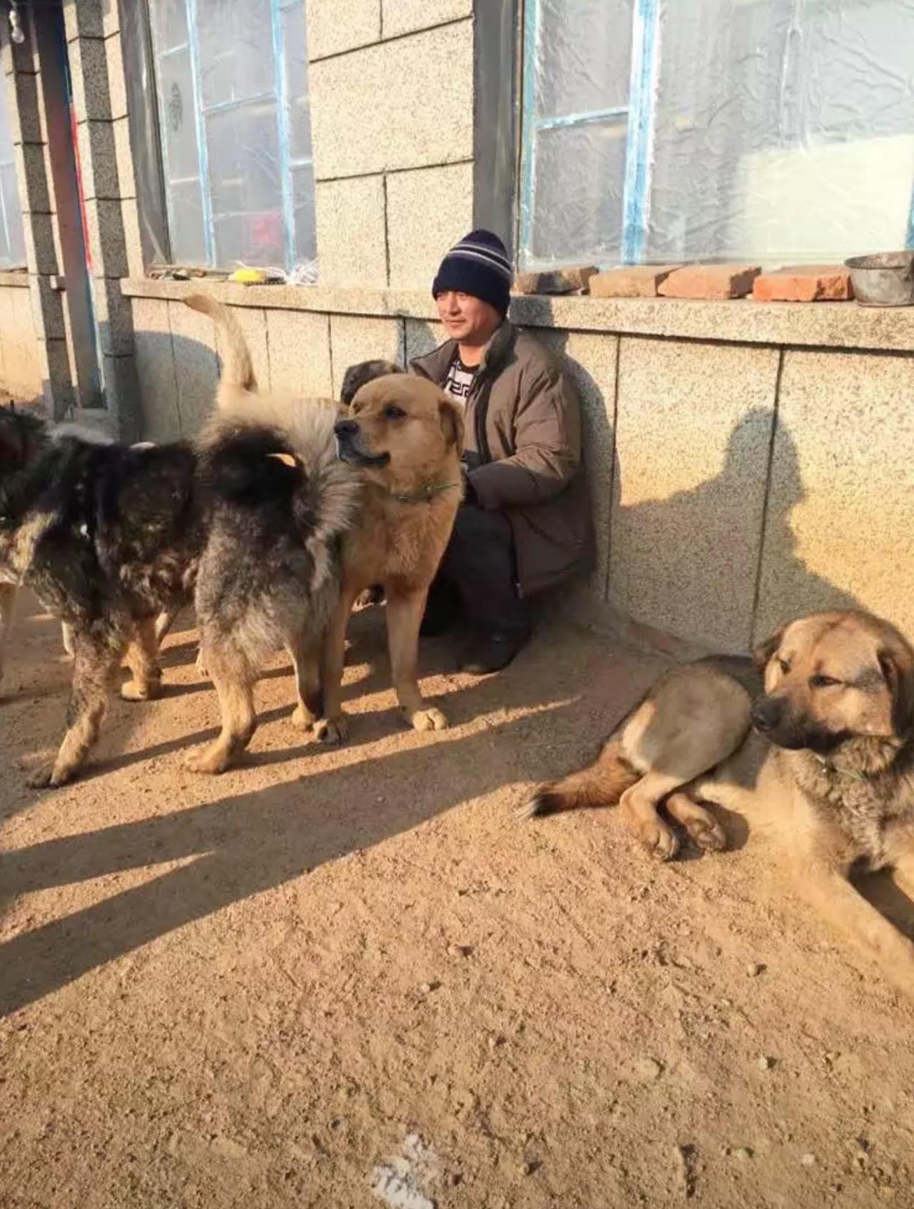 看狗和看人一样，是什么类型一眼就能看出来。这位大哥一看就是实战猎犬玩家，而他的大