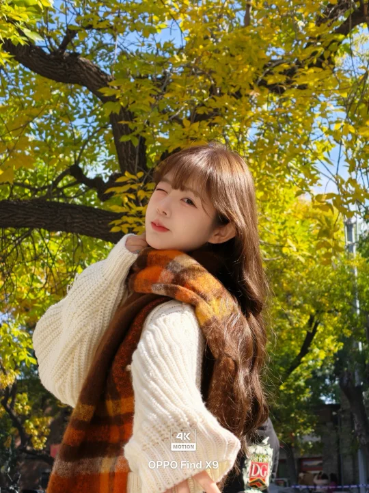 4K Live | 北京的秋 是时光酿的温柔