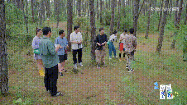 #贾乃亮赶马蜂一打一中# 不得不说贾乃亮真的是手速了得，而且是精准狠，一招致命，