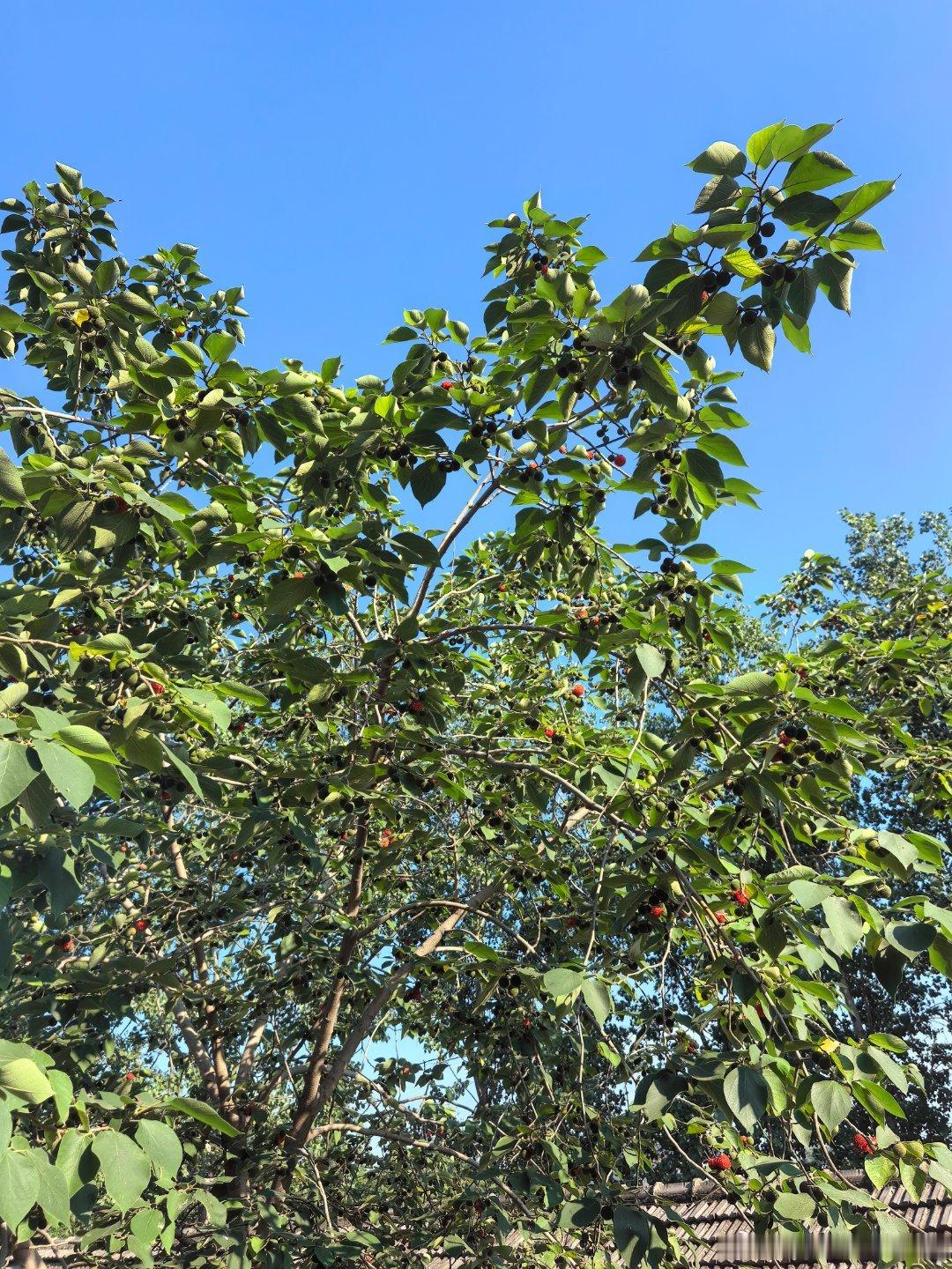 应对失败和挫折，一笑而过是一种乐观自信，然后重振旗鼓，这是一种勇气心。应对误解和