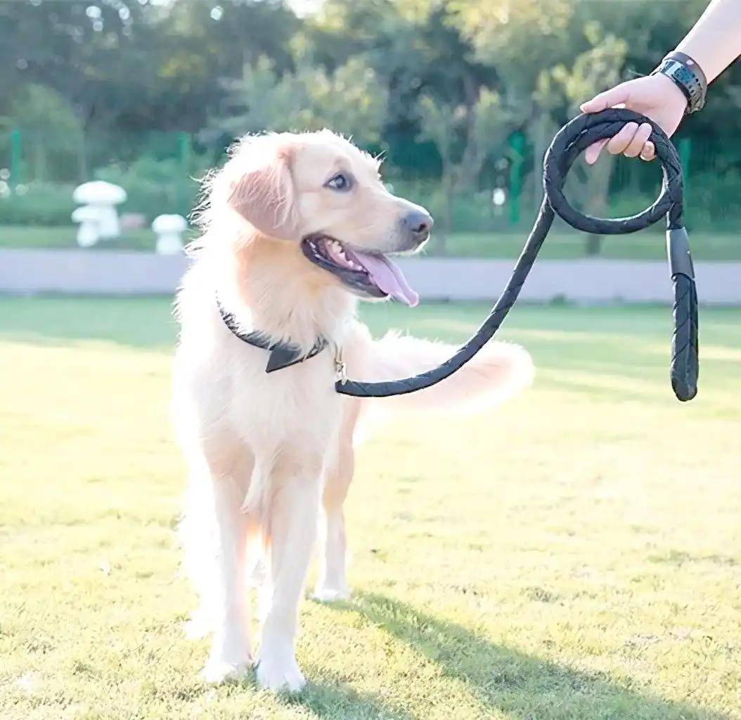 城市小区禁养宠物狗合不合法，这事儿还挺复杂。2026年法律明确，小区物业、业委会