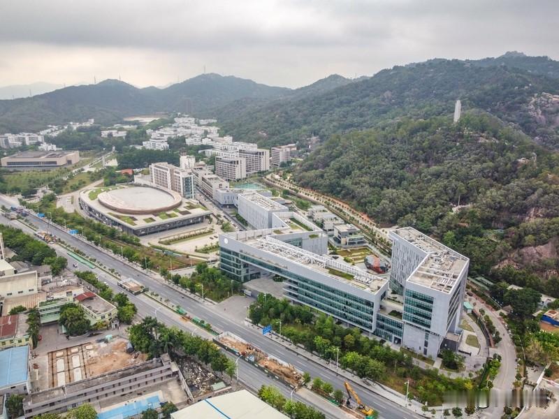 近期，中国外交部、教育部、文化和旅游部接连发布提醒，建议中国公民“谨慎前往”或“