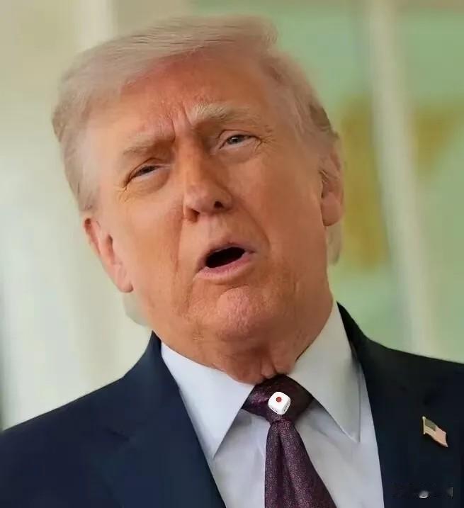 美国新消息！
4月17日电，美国美术委员会16日初步批准美国总统特朗普在首都华盛