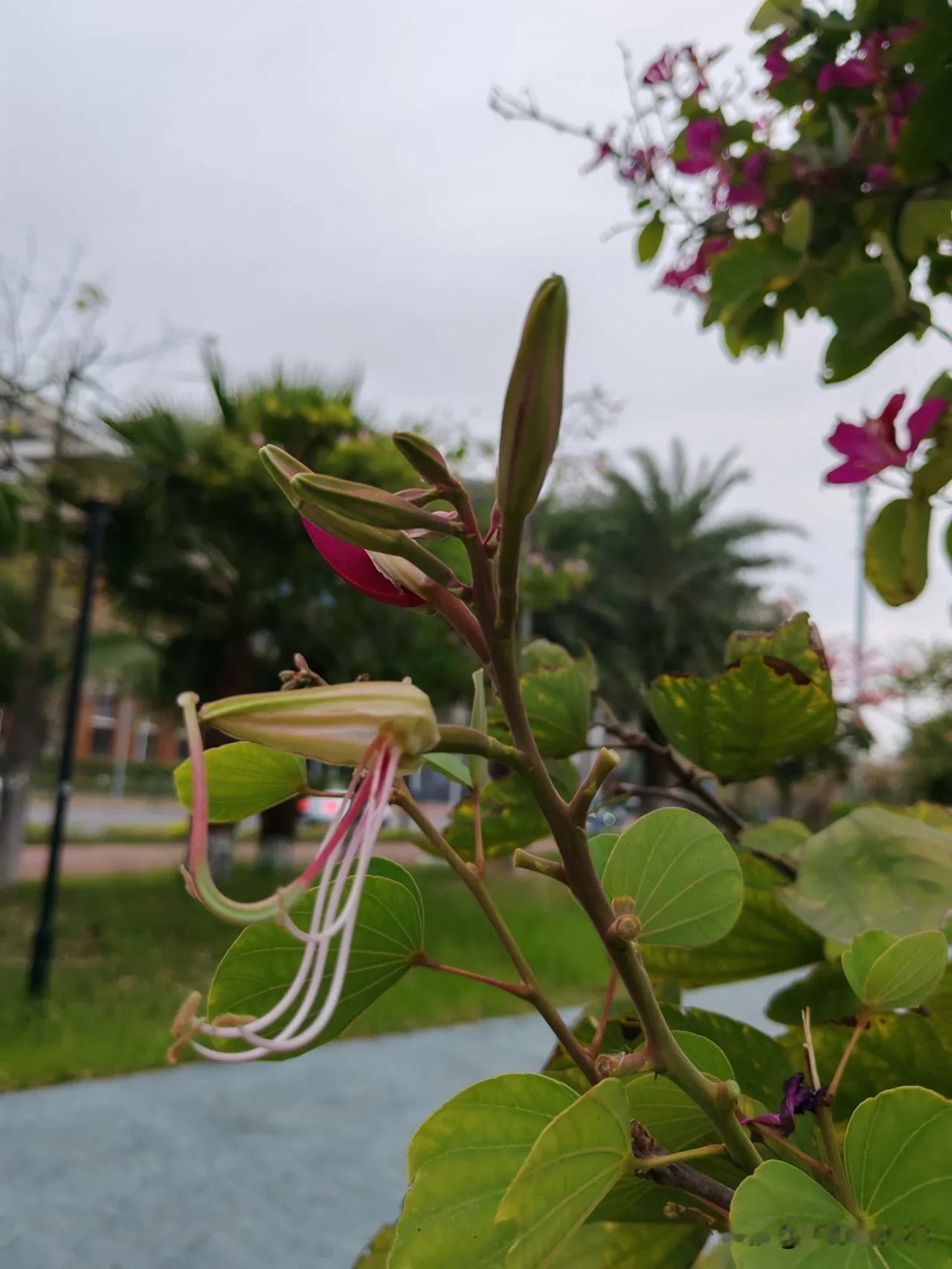 我变得越来越沉默，无非是因为需要承担的东西太多了。

每天一睁开眼，就要想着如何