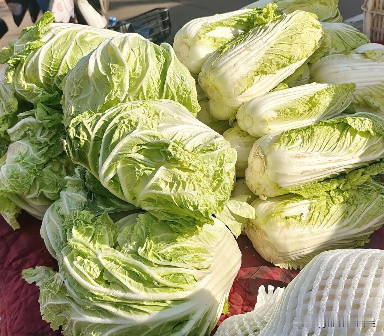 白菜价格上涨，有网友分享了一个应对蔬菜价高的妙招，看看是什么？

近期，蔬菜价格