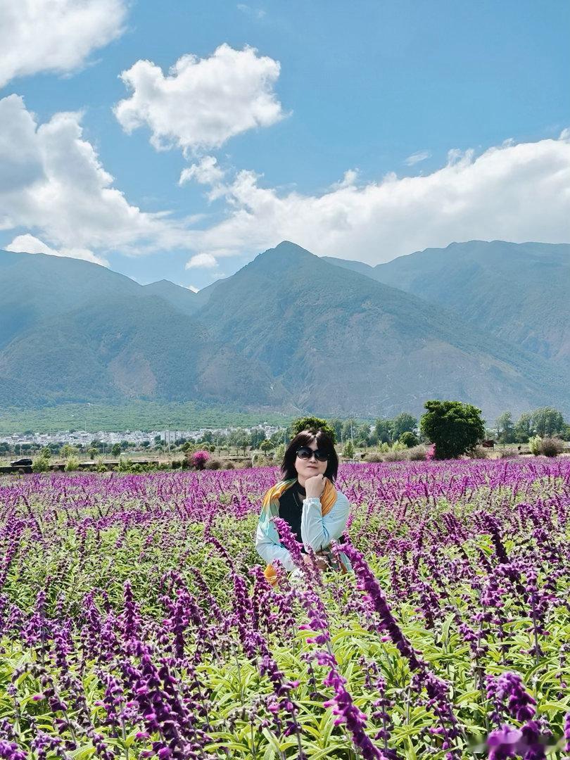 阎肃观察肃言肃语一分钟精选视频扶持计划 【云南大理洱海、花海赴美景 专业讲解暖人