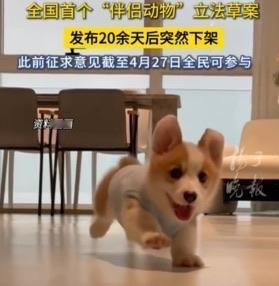 这个草案下架必然。
打个比方：禁止遗弃宠物，如何保证宠物主不遗弃？宠物主随便使点