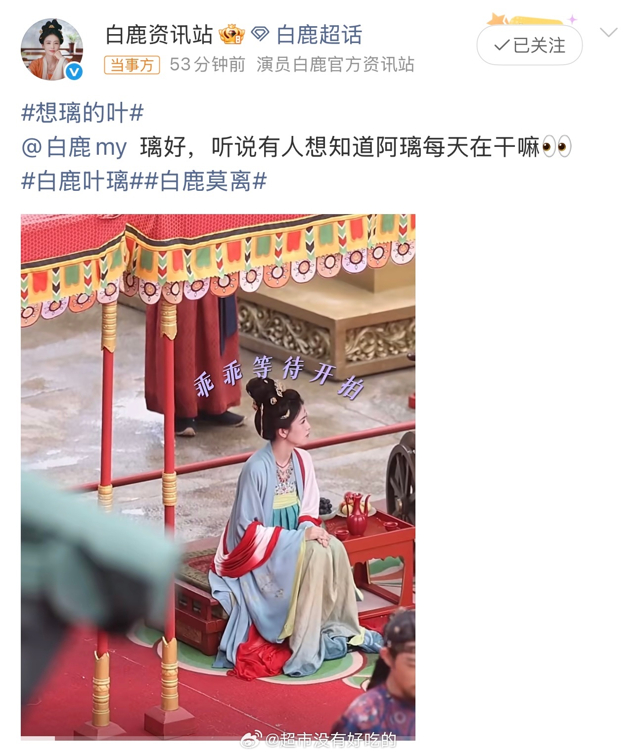 白鹿 喝茶替身白鹿脊椎后遗症 白鹿方算是回应这个rs了，真wwzz 白鹿替身花絮