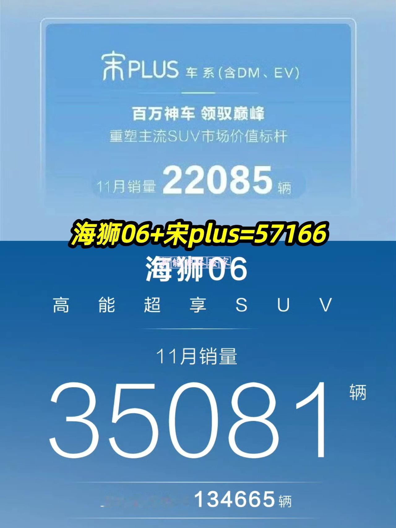 海狮06单月狂销35081辆，成为比亚迪又一爆款，
宋PLUS依旧稳站22085