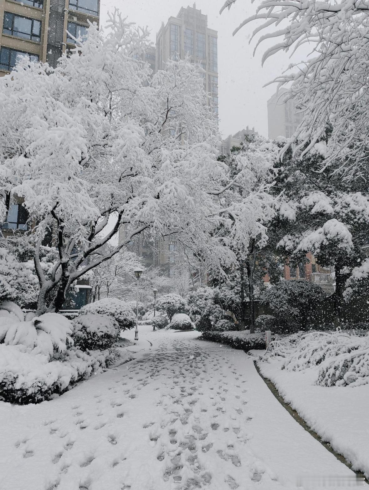 大雨暴雨大雪暴雪即将上线 天气说冷就冷了。北方的雪已上线，南方也开启了速冻模式~