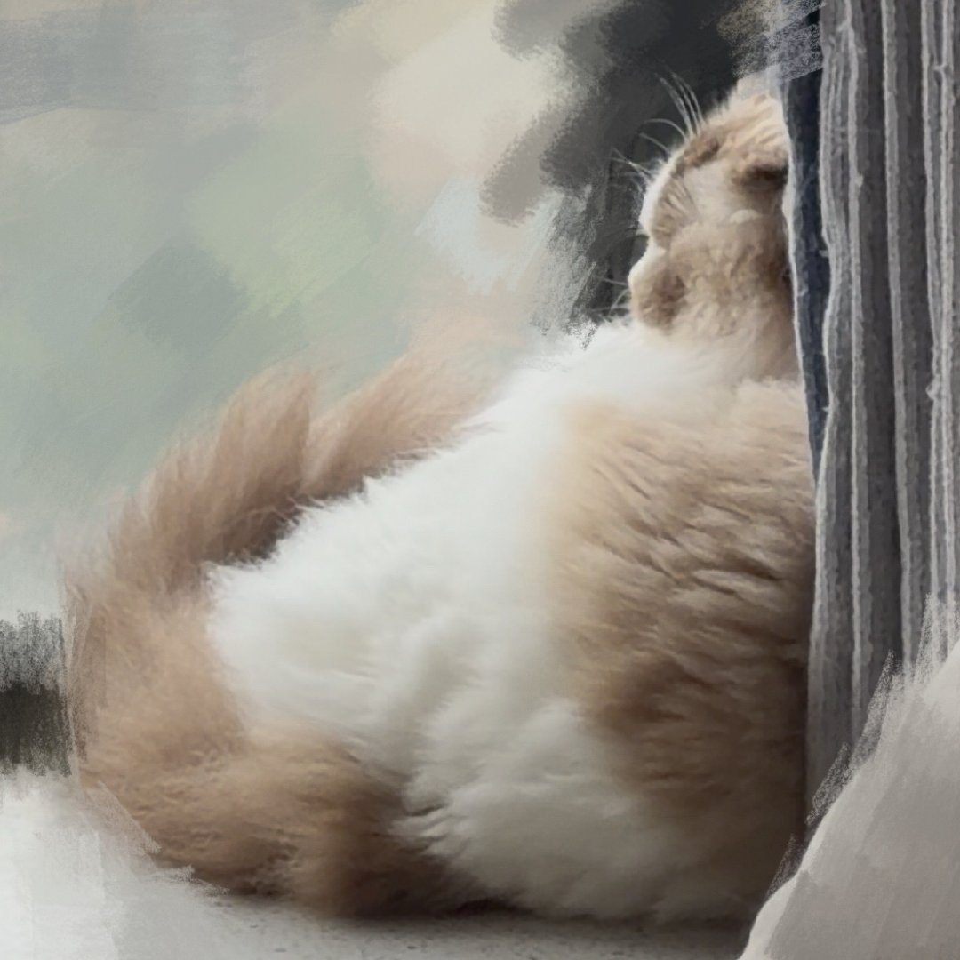忧郁小咪 ​​​