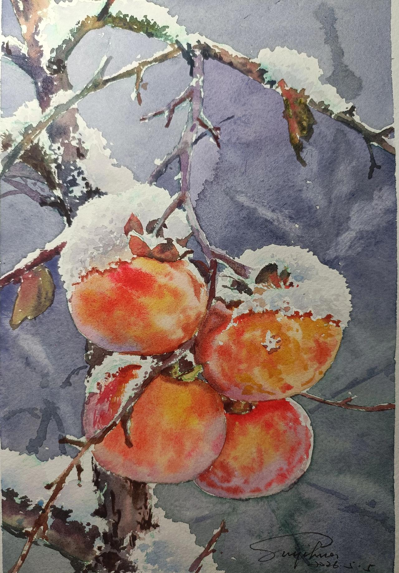 画两幅不一样的柿子，你喜欢哪幅呢？色彩静物 怡华手绘 水彩 水彩手绘