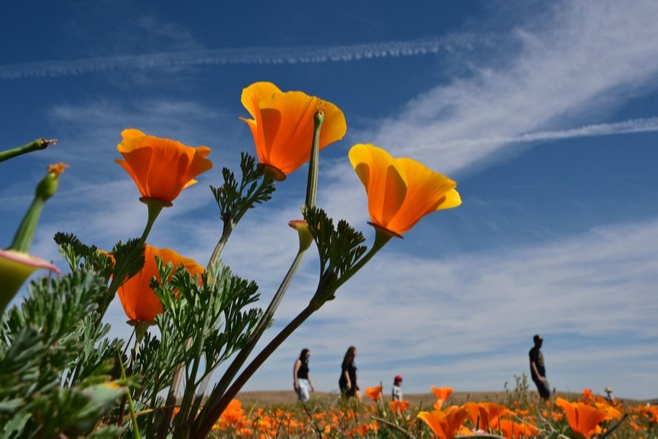 #4月的累不是春天的锅#【#大家都在4月感到疲惫吗#？】参考消息网4月6日报道 