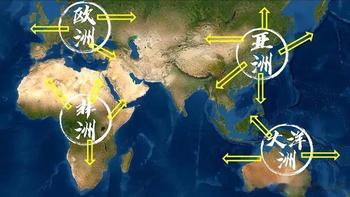 简述现代人类起源的两种理论
现代人类是指新石器时代以来(公元前1万年至今）的人类