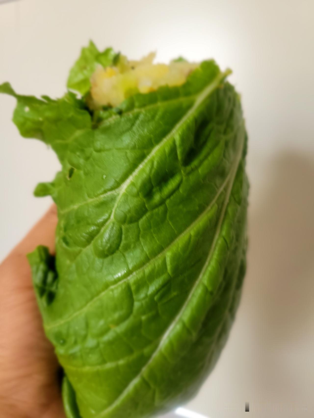今天中午吃的东北名吃：饭包。我用三个鸡蛋炸了鸡蛋酱，用我们本地产的通辽大酱，做了