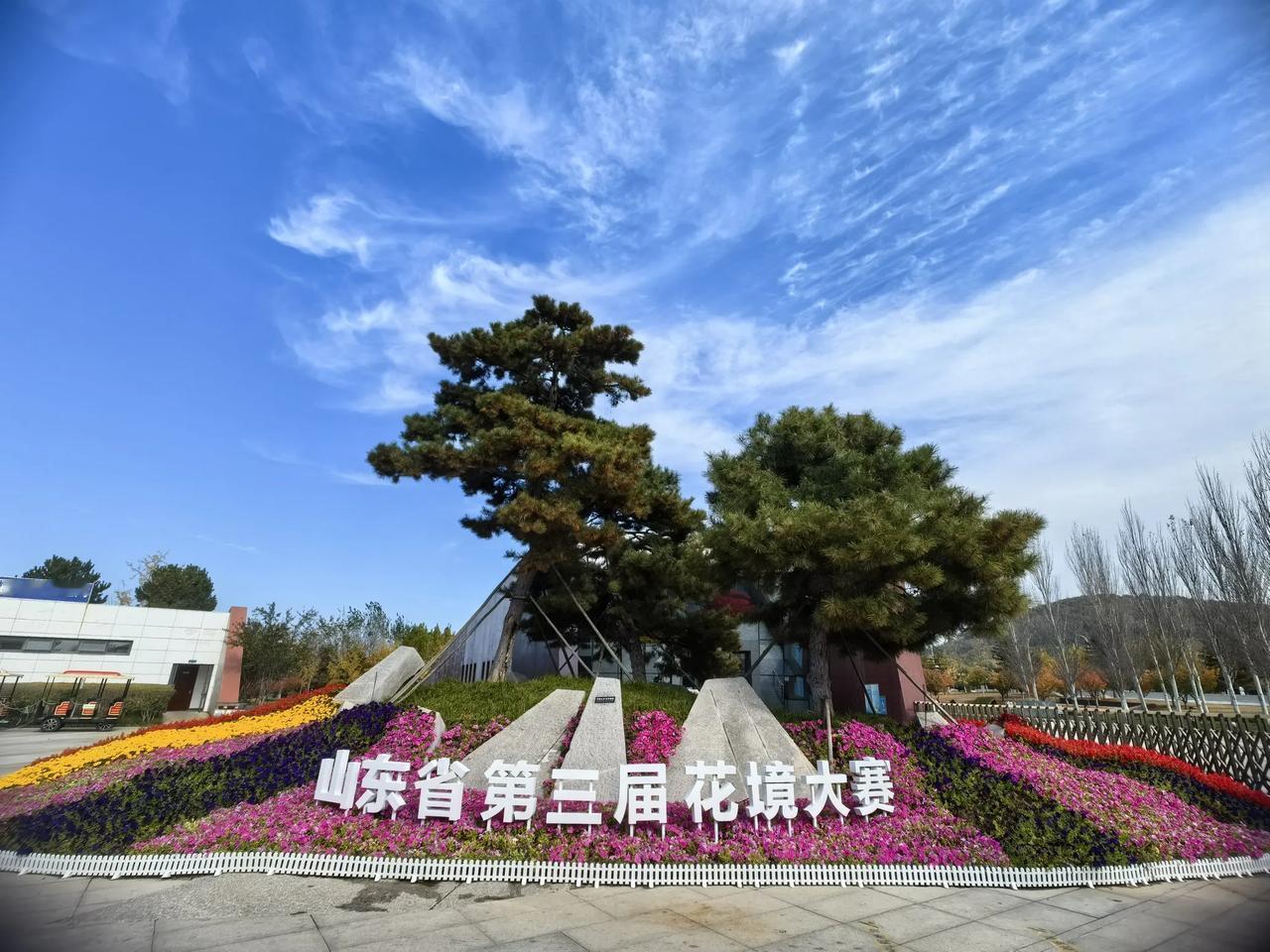这个周末来烟台植物园游览的市民应该还会很多吧，下周气温下降幅度就会很大，冬天来的