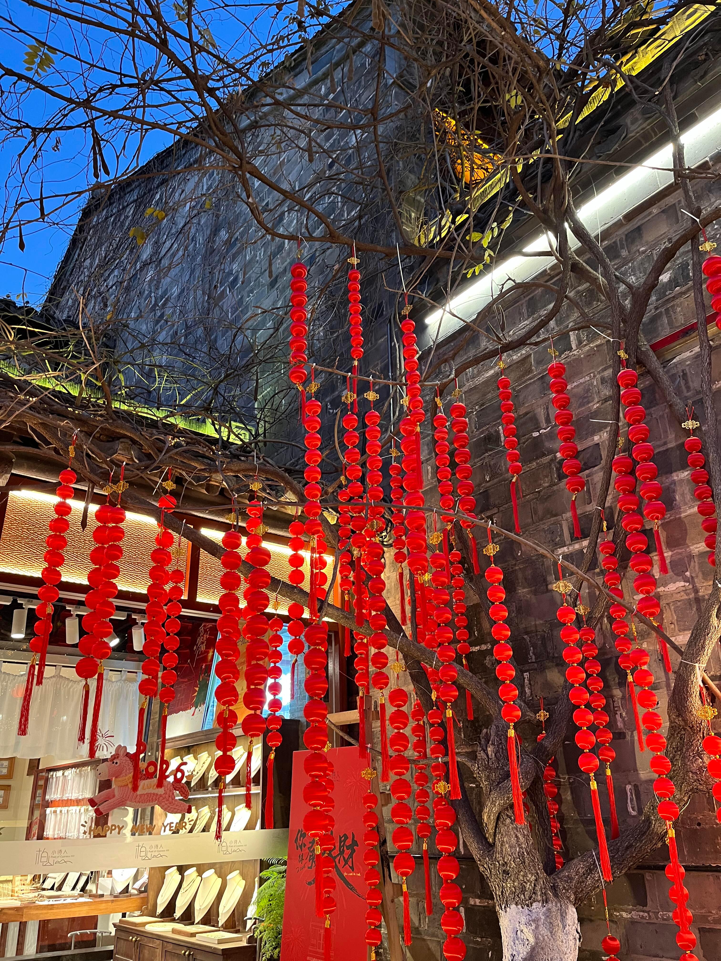 元宵节来看灯了…人巨多。 