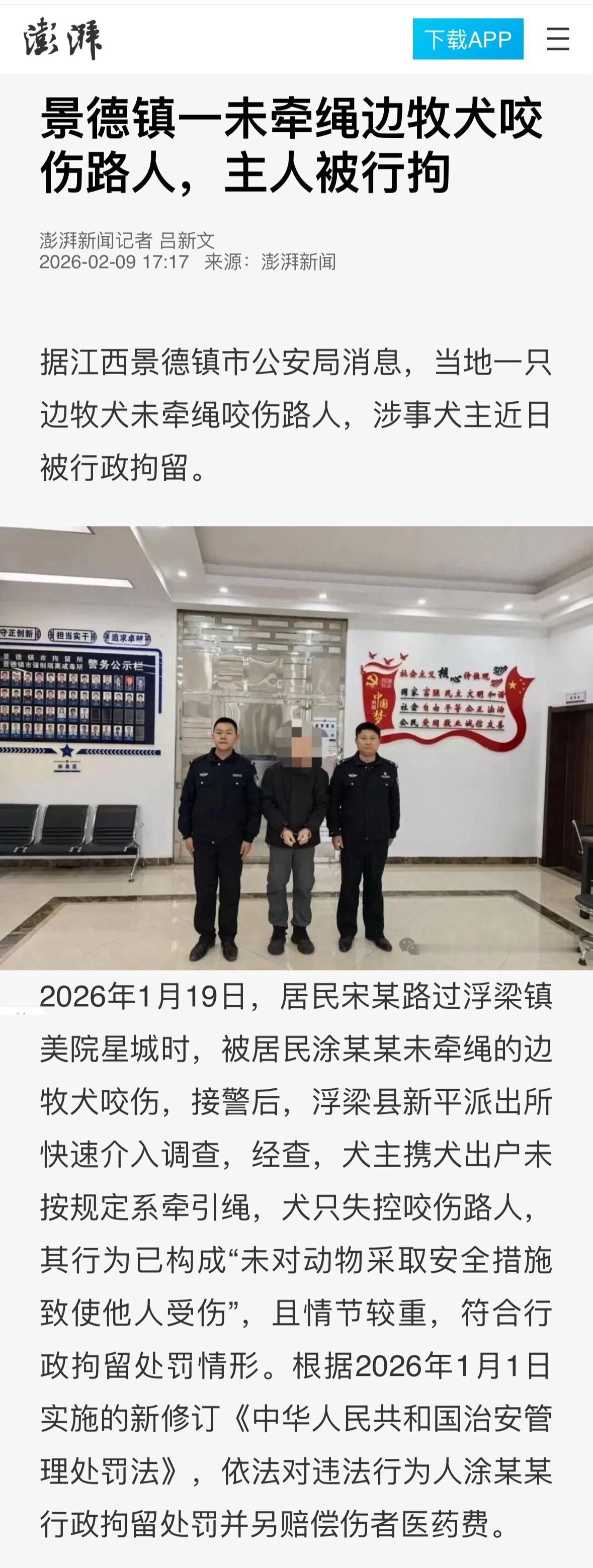 未牵绳边牧咬伤路人主人被行拘行政拘留了，有进步。 