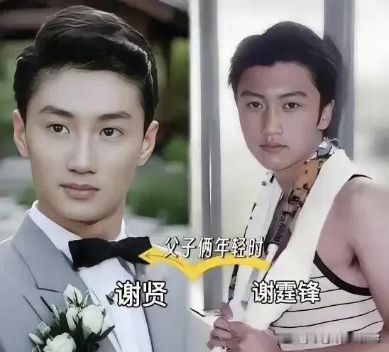 感觉他们的颜值是一代不如一代。

没瞎扯，不信大家看看，是不是这个道理。

谢贤
