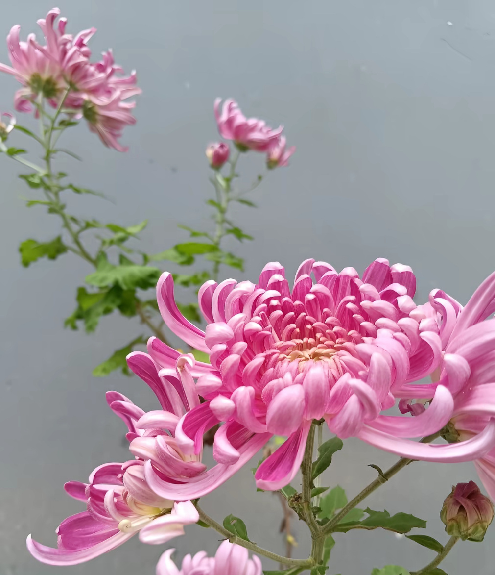 生活向前的光明展开，一定是来自于现实生存氛围的突围与超越，假如认识不到这一点，那
