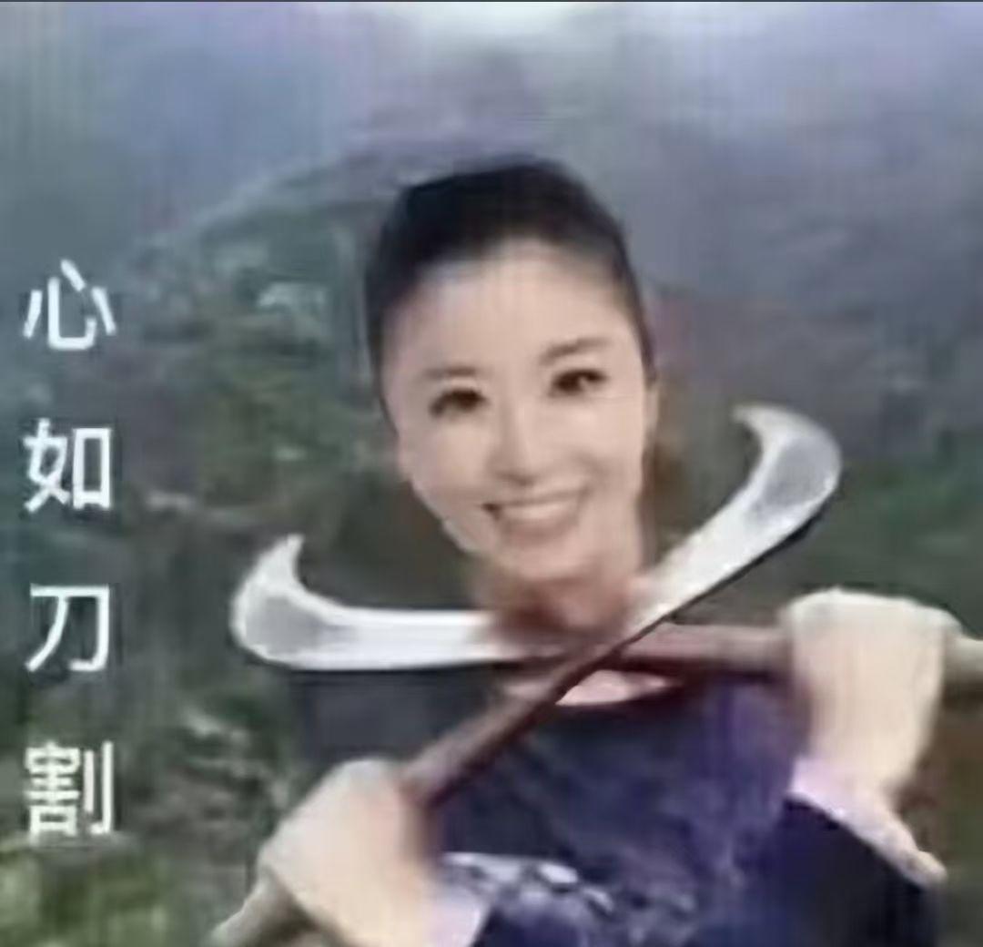 心如刀割，笑里藏刀，情感的复杂与矛盾。