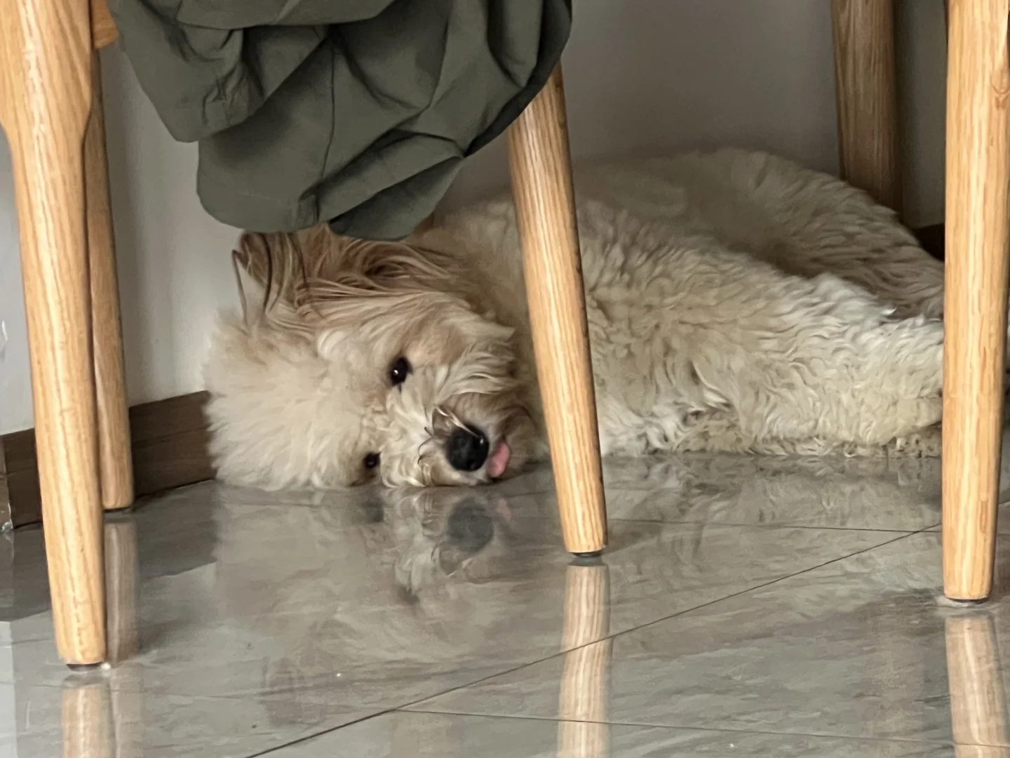 妈妈 你终于上班了