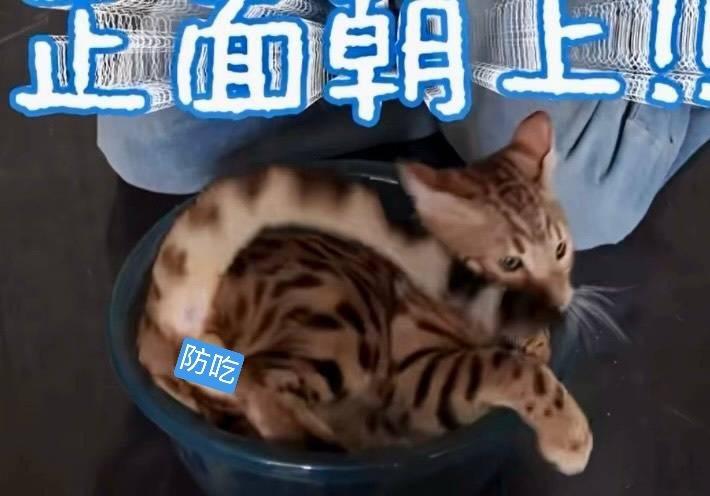 分享图片 