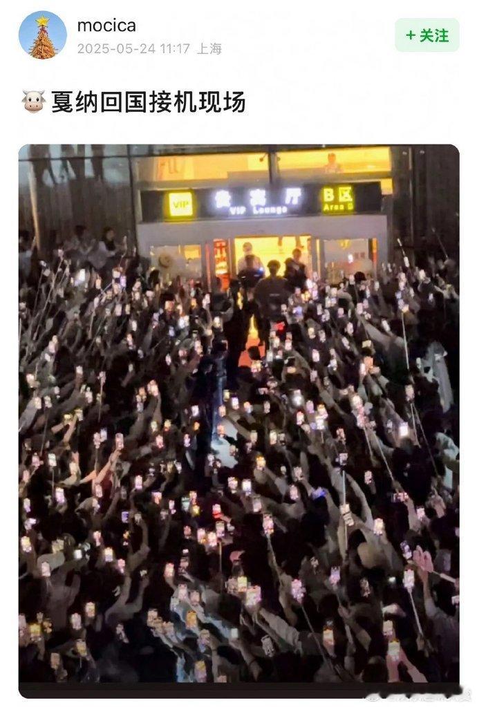 张凌赫戛纳回国接机现场 张凌赫接机人气，这波真的是美貌有效输出了... 张凌赫接