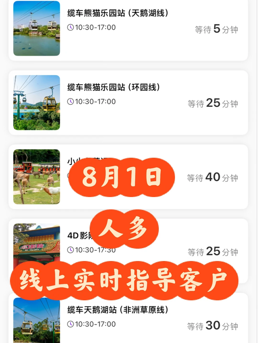 今天长隆动物园的人流量确实大