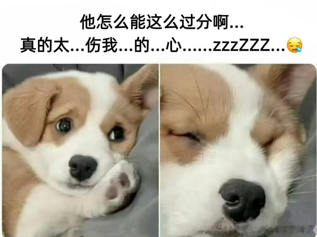 当某人伤透了你的心，但你已经有点上年纪了： 