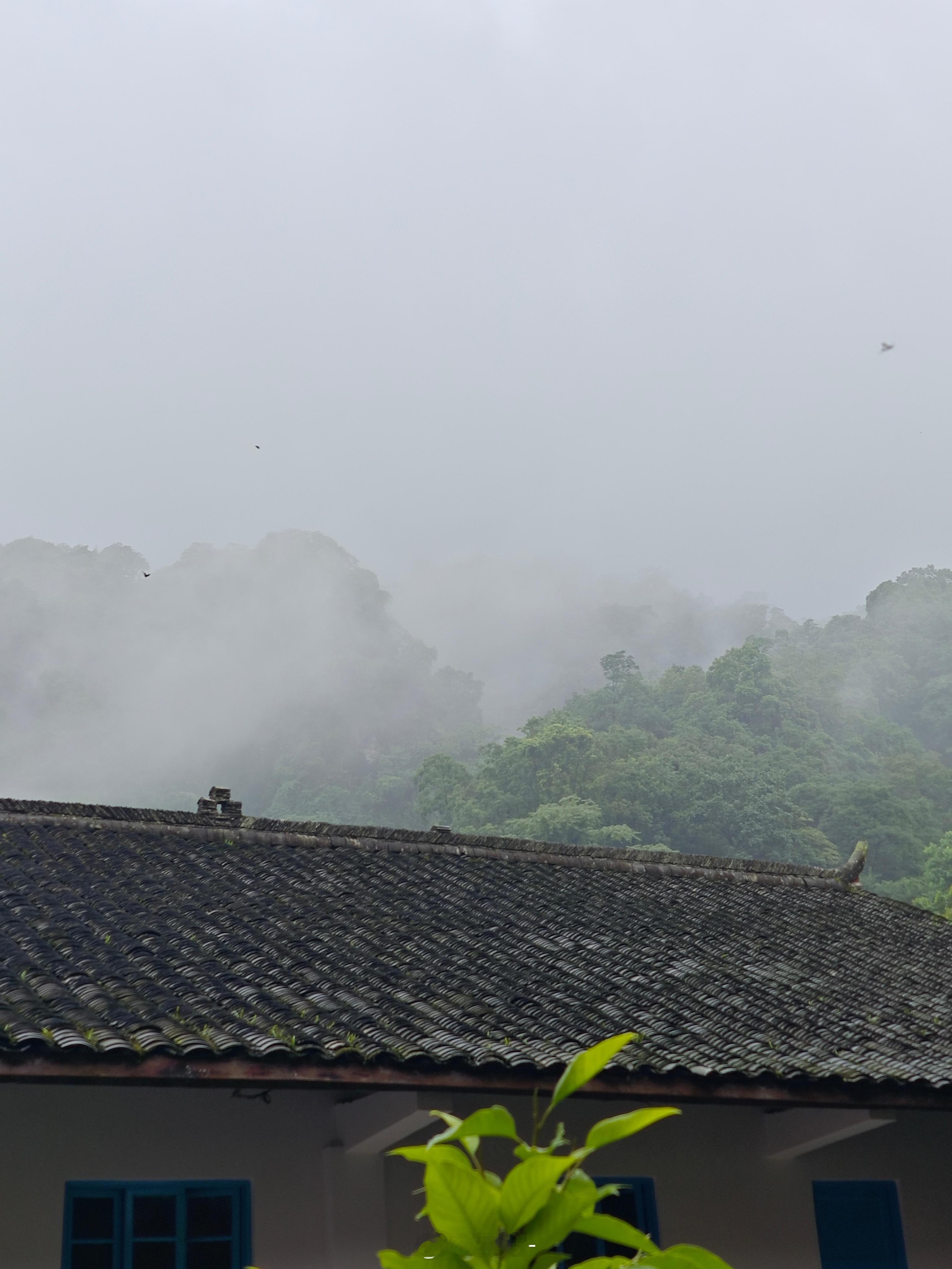 人居山中，山隐云雾中，方是青城。 