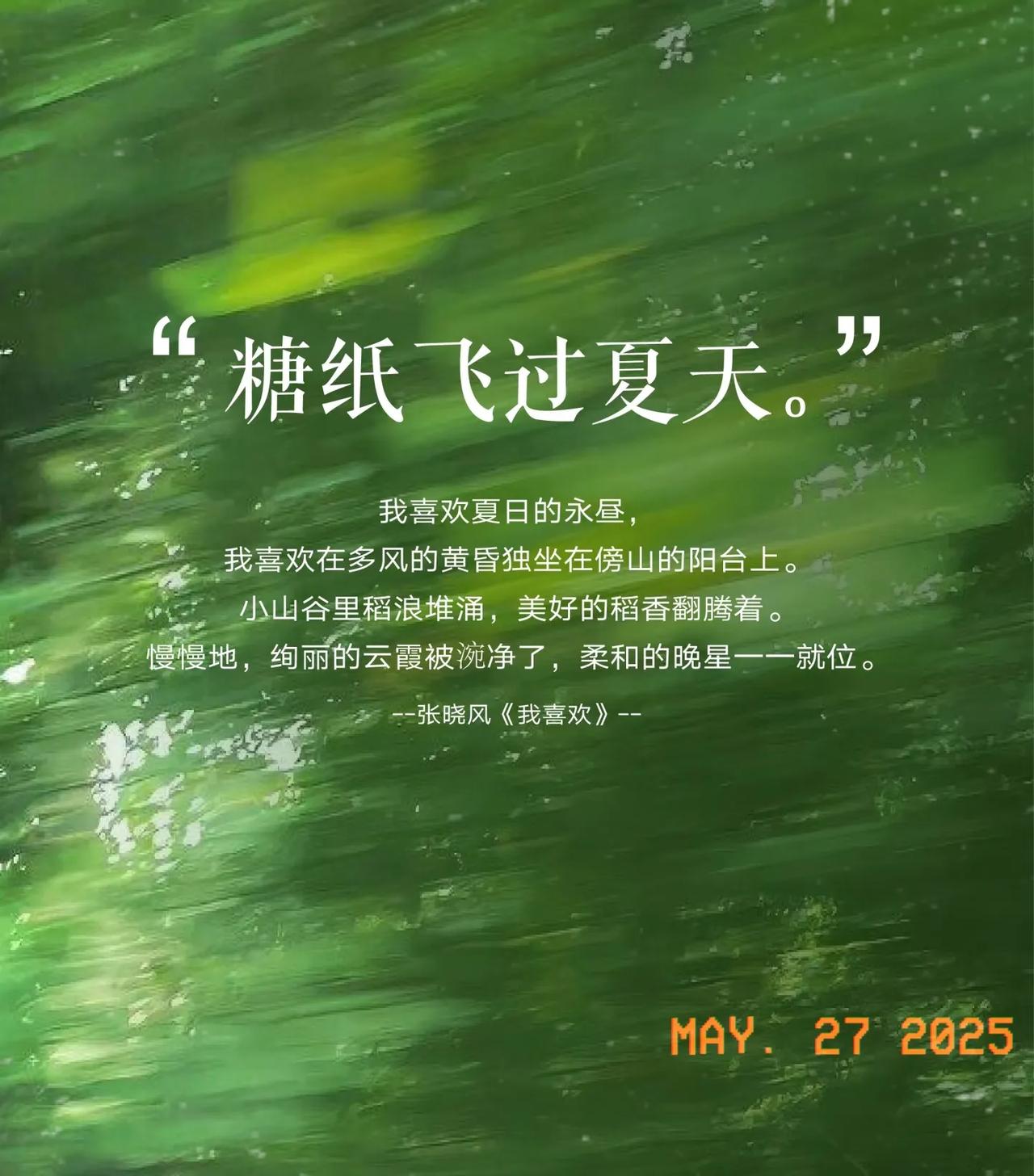 糖纸飞过夏天