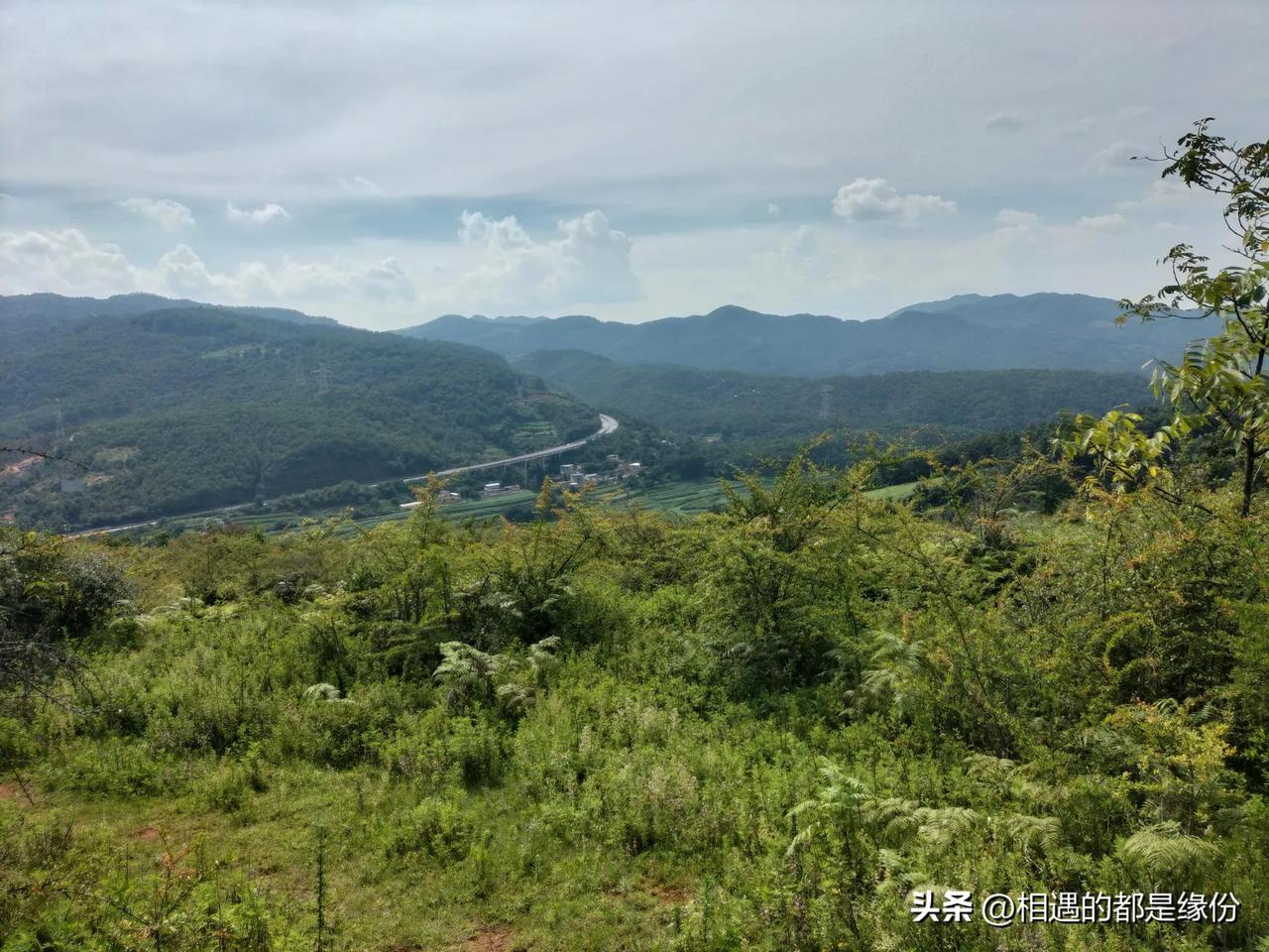 要是再放开一次补交社保的机会，我估计社保局的大门都要挤破了。可惜没有那个机会了。