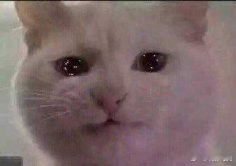 看起来有些苦涩的Chovy🐱cr.nyang_nyangngng2025lck