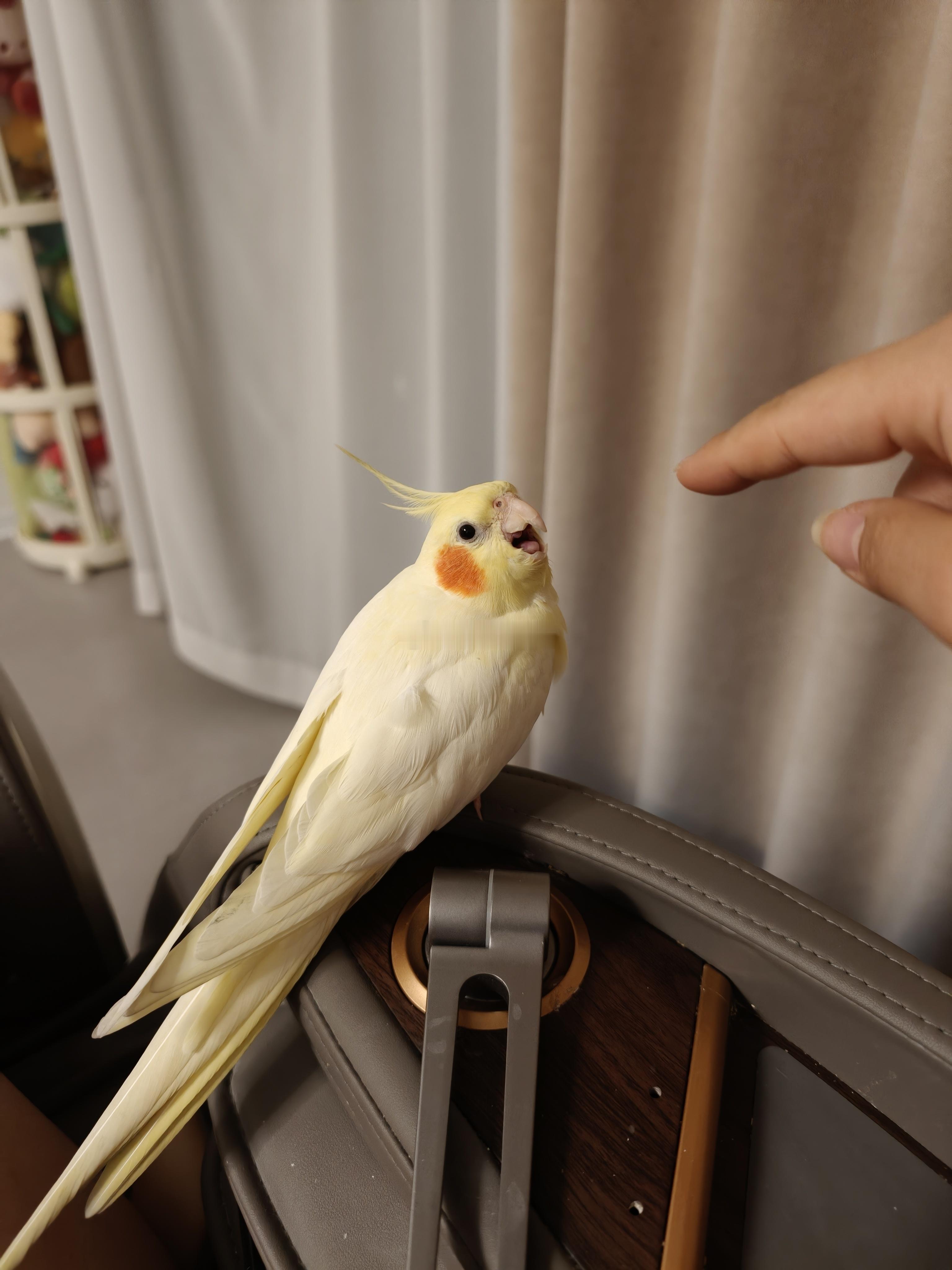 分享图片 