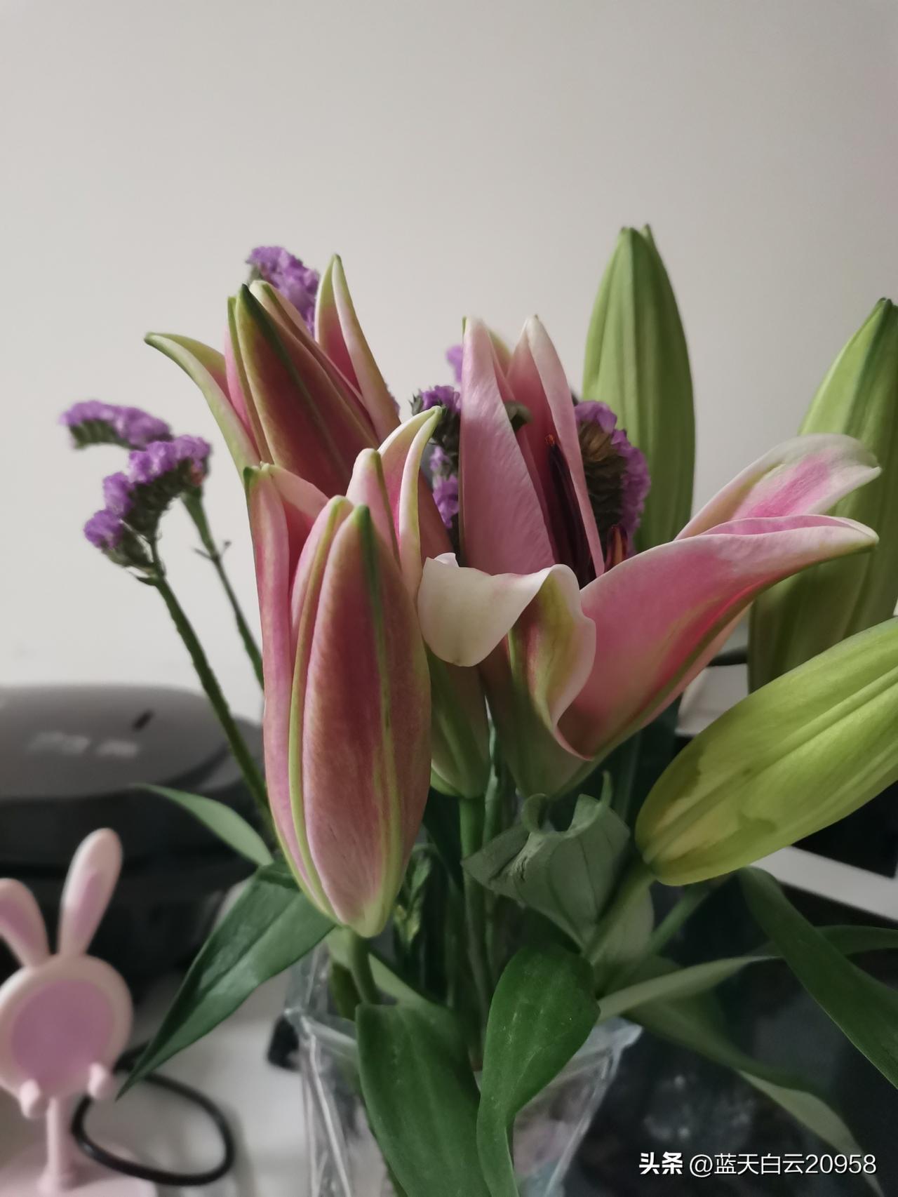 妈妈83岁那年肚子疼，去医院检查，医生说胆坏死，需要做个小手术，手术的成功率大。