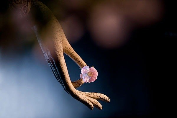 什么是人“内在的丰盛呢”？指一个人在人生的过程中所收获的极致的生命体验和感受，可