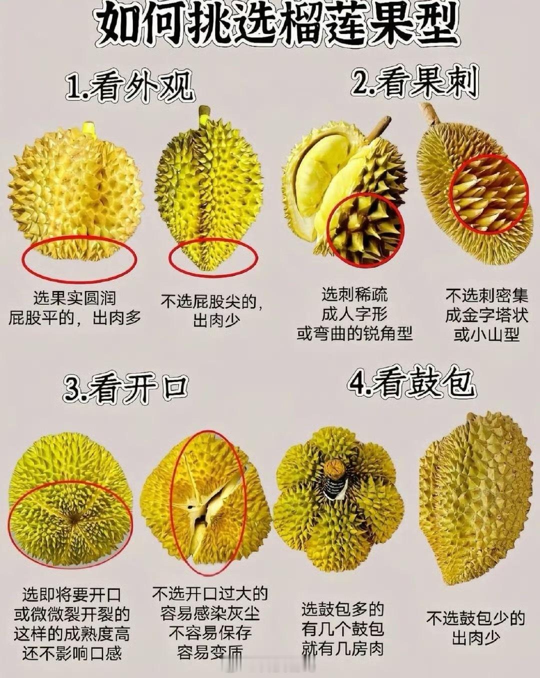 我不买开口榴莲的原因你们爱吃榴莲吗？多少人不爱？我是基本不买榴莲….. 