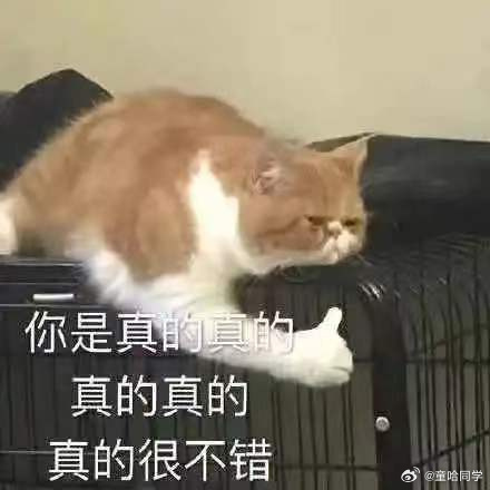 AI时代的稀缺能力面对AI给出的一堆备选方案，懂得取舍、拥有成熟的审美与选择判断
