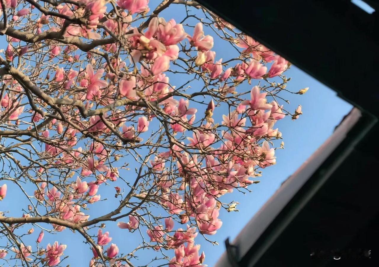 人类10大快乐源泉
 
1. 性
只要你想就能得到，但是这种快乐是短暂的。
2.