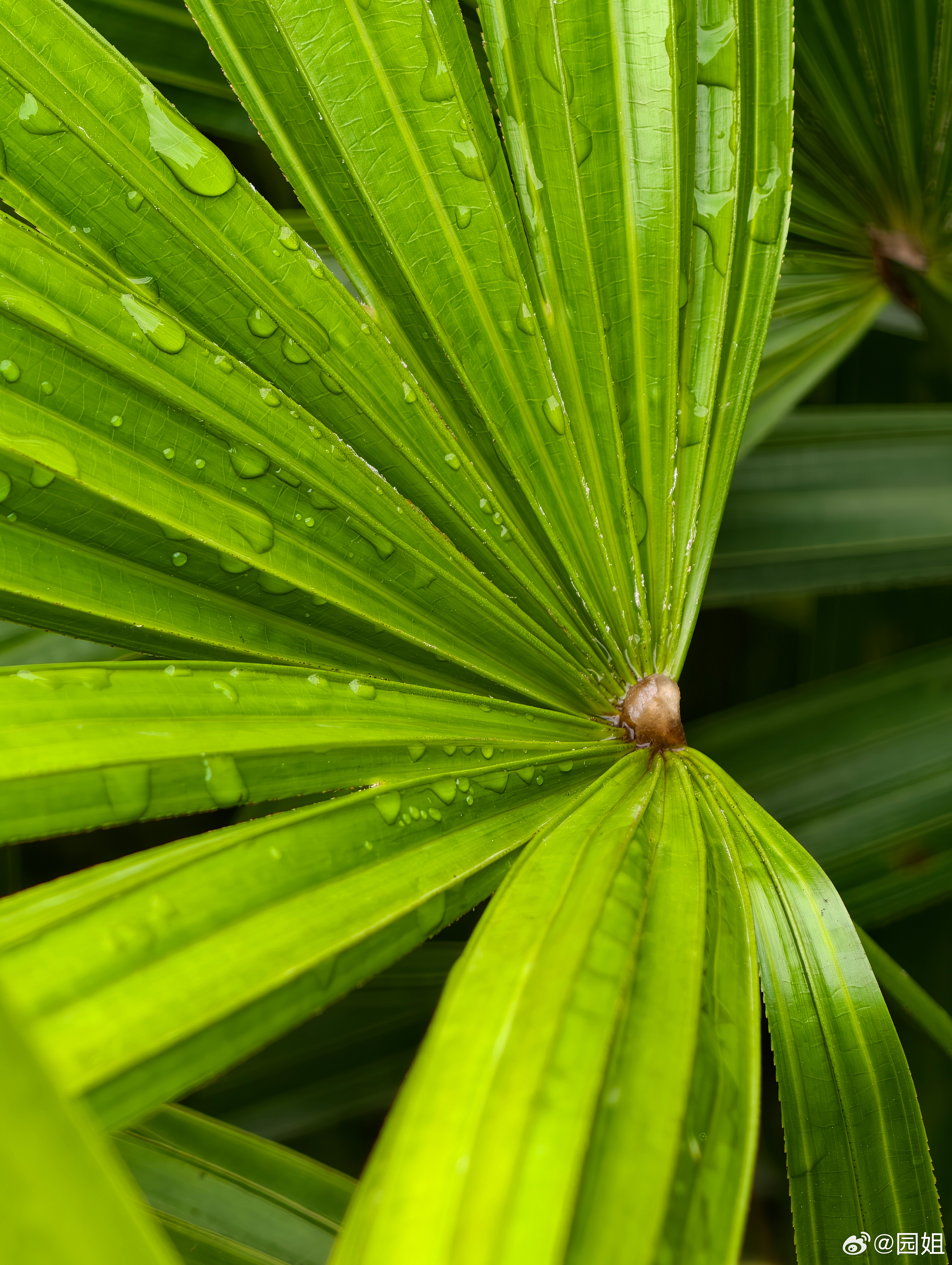 早呀最近失眠严重啊，白天不困晚上不困
