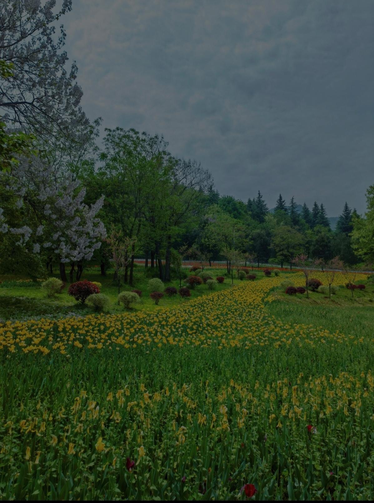 上联：千峰叠翠沐新雨
下联：万岭迎春绽娇花                   
