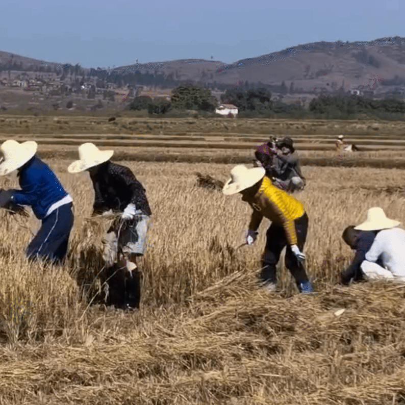 陈数太朴实了 ​​​陈数爆改花少 ​​​姐，下次体验这种生活不用跑那么远，来我这